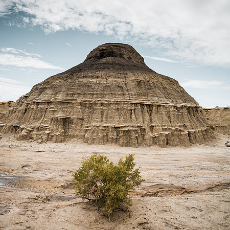 Bisti Monumental
