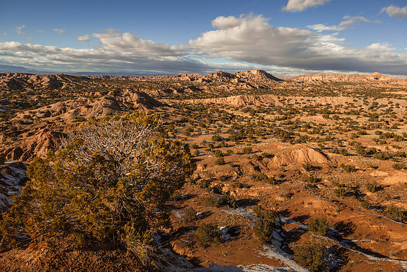 Snowmelt on Chimayo Barrancas