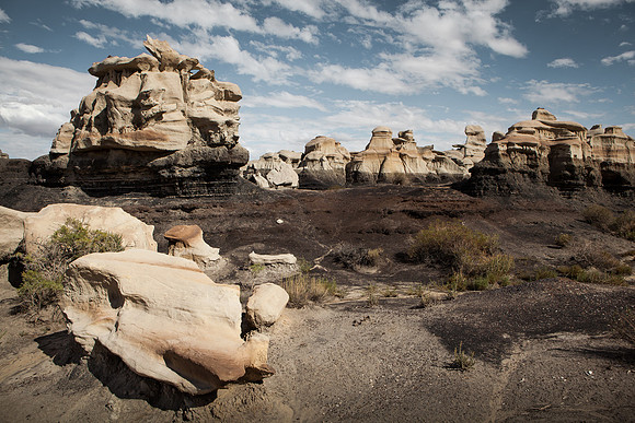 Amadeus_Bisti_Day_2014-179