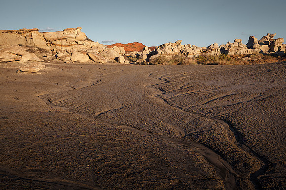 Amadeus_Bisti_Day_2014-488