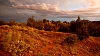 August Evening