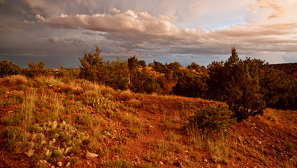 August Evening