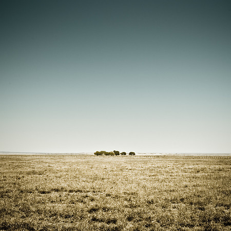 Estancia Oasis