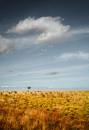 Stanley's Sky III