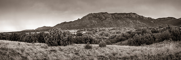Sandia Rain Black & White