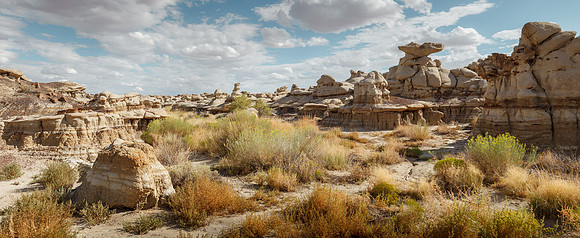 Bisti Badlands Arroyo
