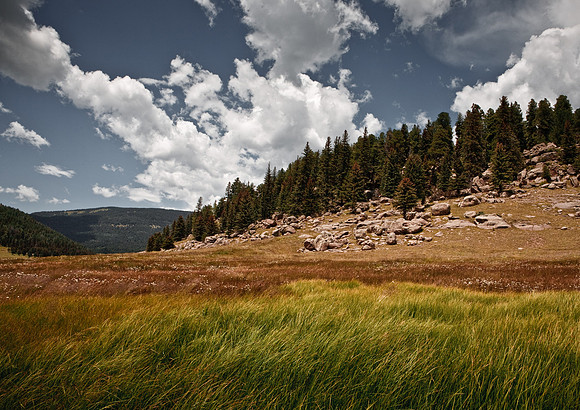 Cerro La Jarra - Valles Caldera