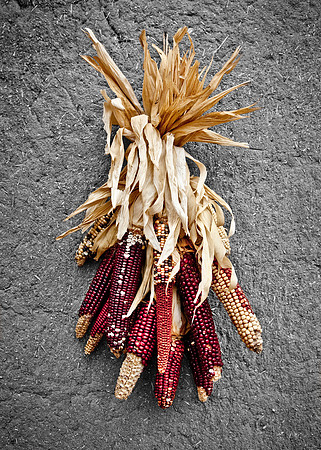 Taos Corn Ristra
