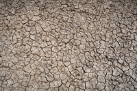 Dried Bisti Mud