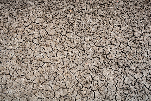 Dried Bisti Mud