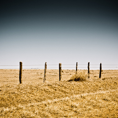 Stuck Tumbleweed