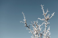 Amadeus_GalisteoRoadside_044