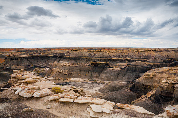 Bisti Coal Wash II