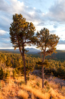 Manzano Sunset Duo II