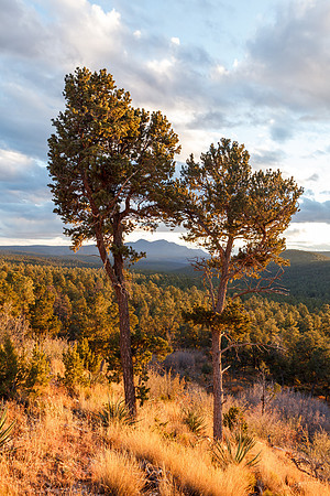 Manzano Sunset Duo II