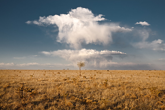 Stanley's Sky II