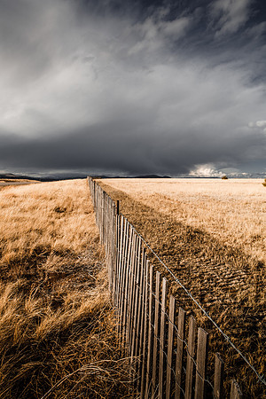 Las Vegas Snow Fence III