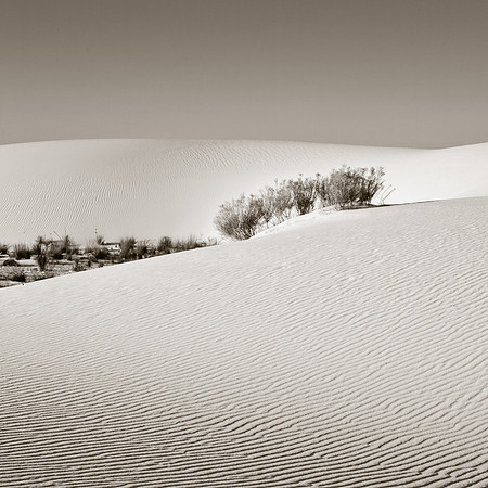 Amadeus_WhiteSandsSunrise_196
