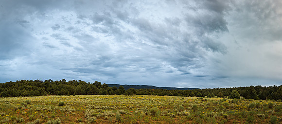 Regina Grasslands