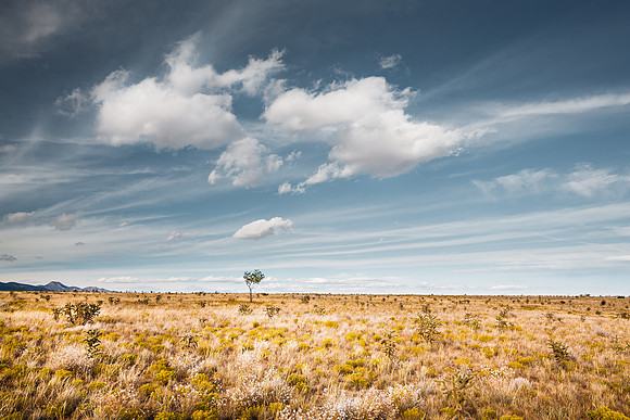 Stanley's Sky IV