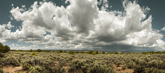 Taos Sage Plateau