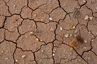 Pebbles on Dried Chimayó Mud