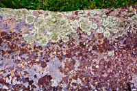 Lichen on Purple Volcanic Rock (full)