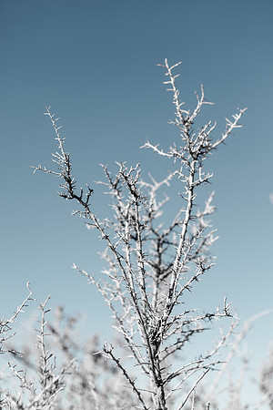 Amadeus_GalisteoRoadside_045