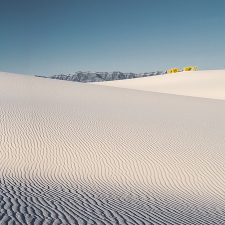 White Sands Sunrise - Detail
