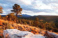 Limestone in Manzano Mountains