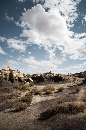 Amadeus_Bisti_Day_2014-209