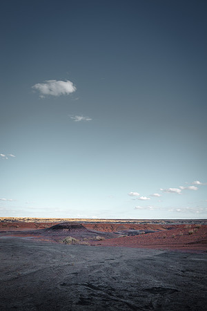 Amadeus_Bisti_Day_2014-481