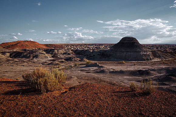 Amadeus_Bisti_Day_2014-456