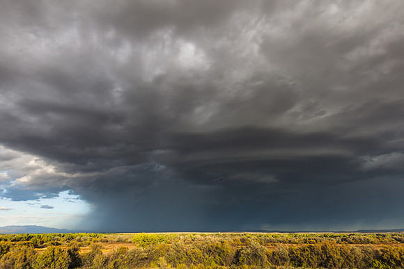 Sevilleta Storm Approach II