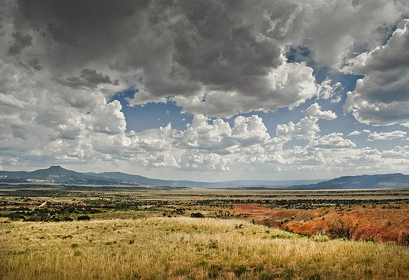 Abiquiu Meadow