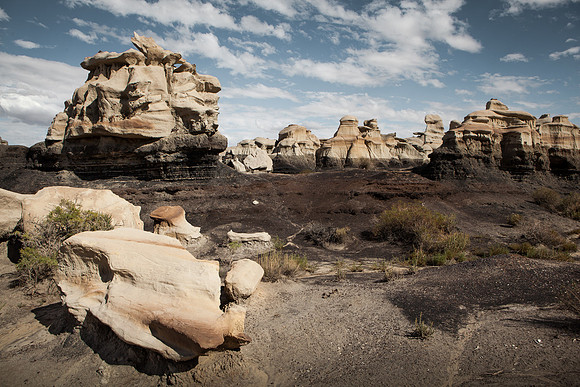 Amadeus_Bisti_Day_2014-179