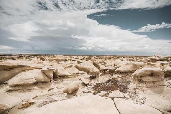 Bisti Ant Castle