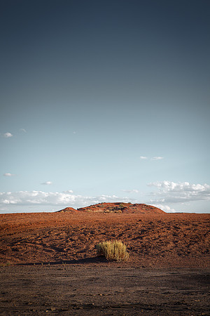 Amadeus_Bisti_Day_2014-482