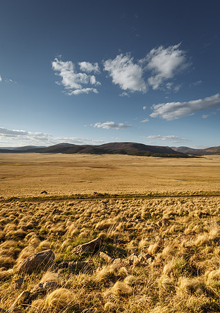 Valles Caldera Sky