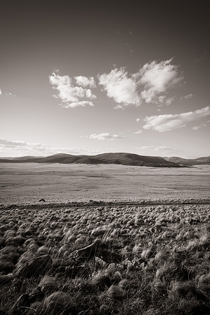 Valles Caldera Sky