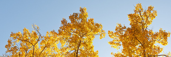 Aspen Trinity I